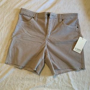 Carve Designs Oahu 6” Hi Rise Shorts